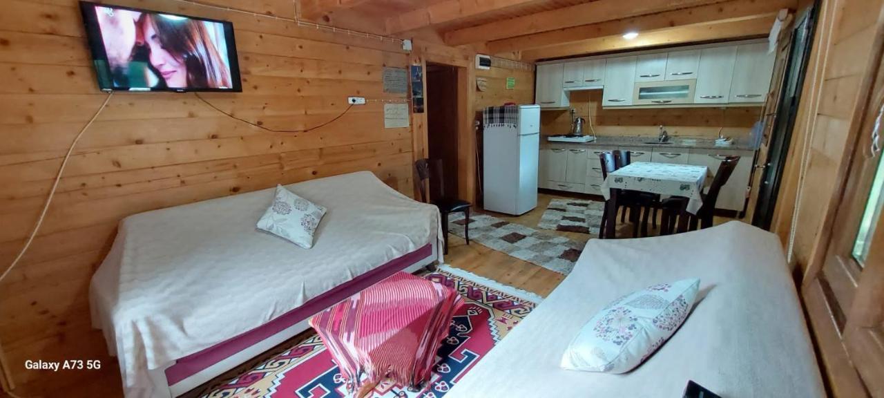 Esperanza Apart & Pension Vendégház Ayder Yaylasi Kültér fotó